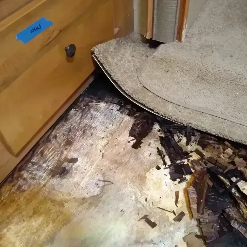 Wood Floor Water Damage in Ramsey County, ND